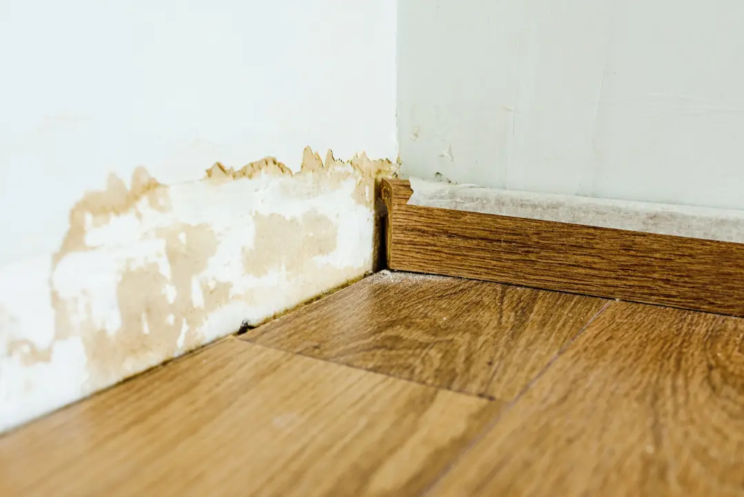 The Perils of Ignoring Skirting Board Symptoms