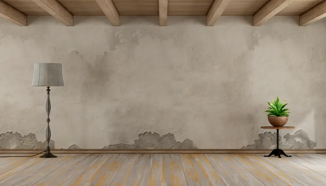 Unveiling the Telltale Signs of Damp in Your Home