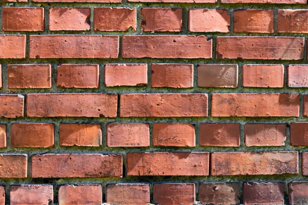 DIY vs. Professional Brick Cleaning