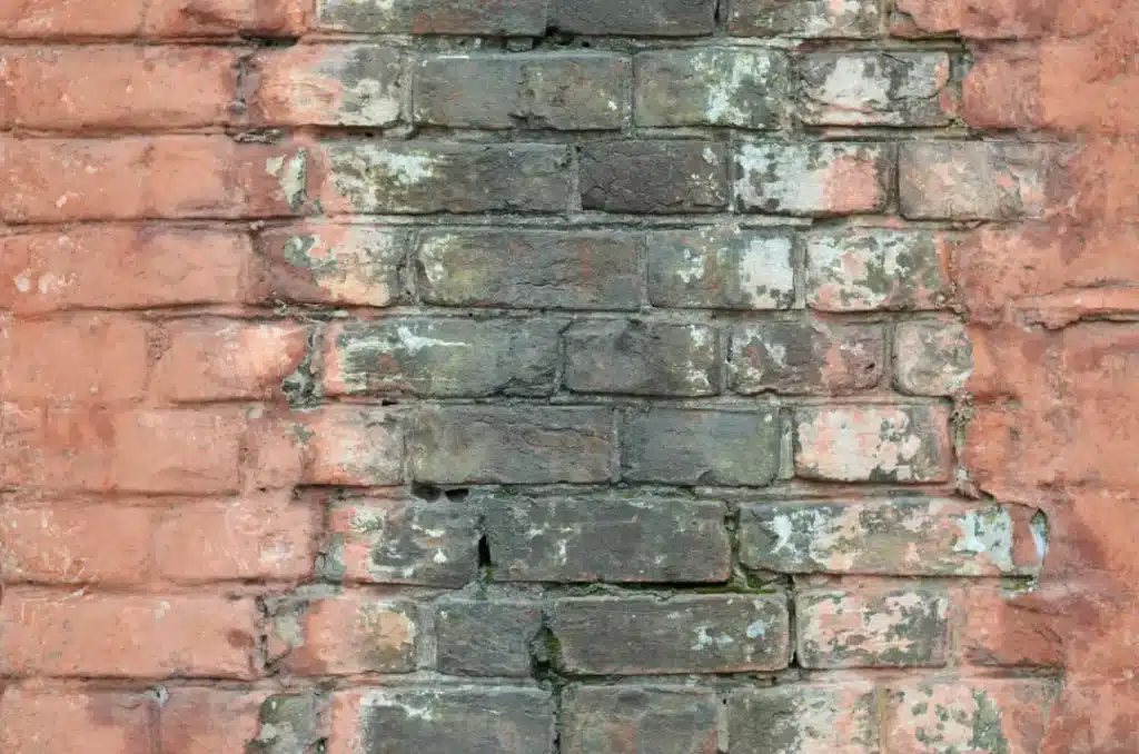 Challenges of Winter Brickwork