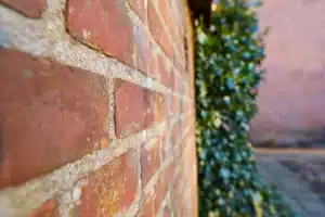 Monitor and Address Moisture Issues Regularly